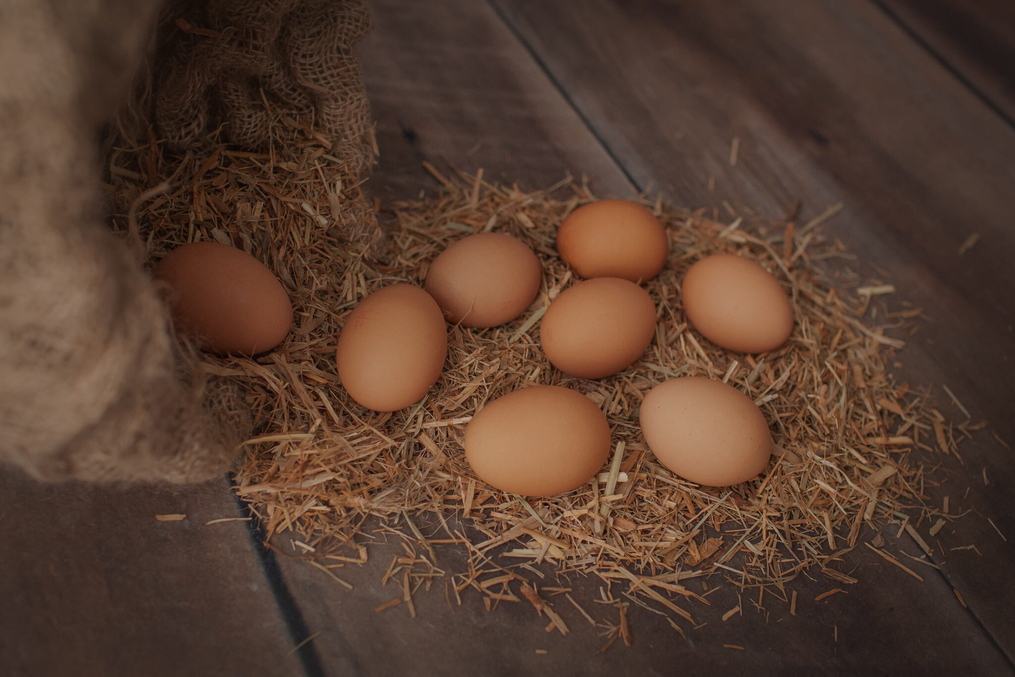 Our farm Casaccio Egg Farms